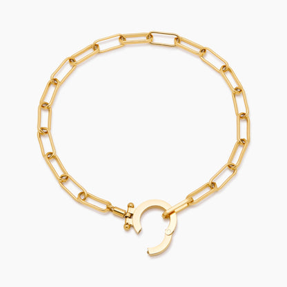 Paperclip chain bracelet flat lay — Olivia Jewelry
